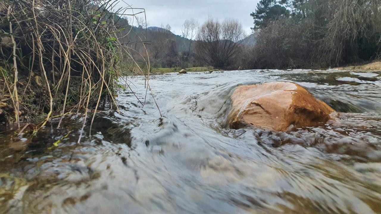 Rio Hereza Arroyo Frio Eksteriør billede